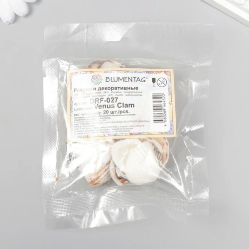 Набор ракушек декоративных venus clam 20шт 6870479